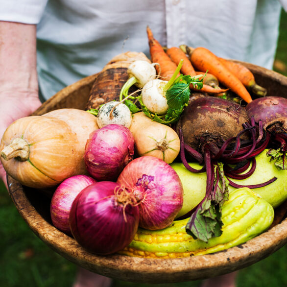 hands-holding-basket-of-mixed-veggie-produce-from-2022-12-16-00-11-36-utc